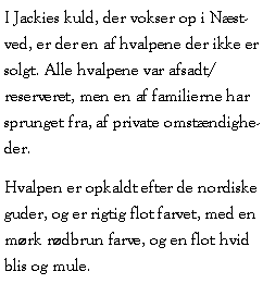 Tekstboks: I Jackies kuld, der vokser op i Nstved, er der en af hvalpene der ikke er solgt. Alle hvalpene var afsadt/reserveret, men en af familierne har sprunget fra, af private omstndigheder. Hvalpen er opkaldt efter de nordiske guder, og er rigtig flot farvet, med en mrk rdbrun farve, og en flot hvid blis og mule.